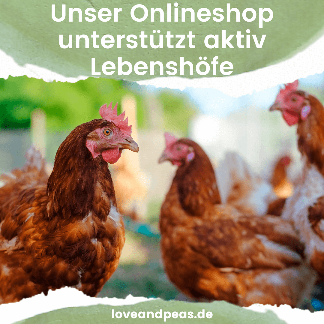 Read more about the article 5 Vereine und Lebenshöfe, die durch den Webshop love & peas gefördert werden (Teil 2)