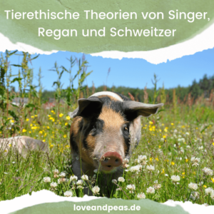 Read more about the article Die tierethischen Theorien von Peter Singer, Tom Regan und Albert Schweitzer