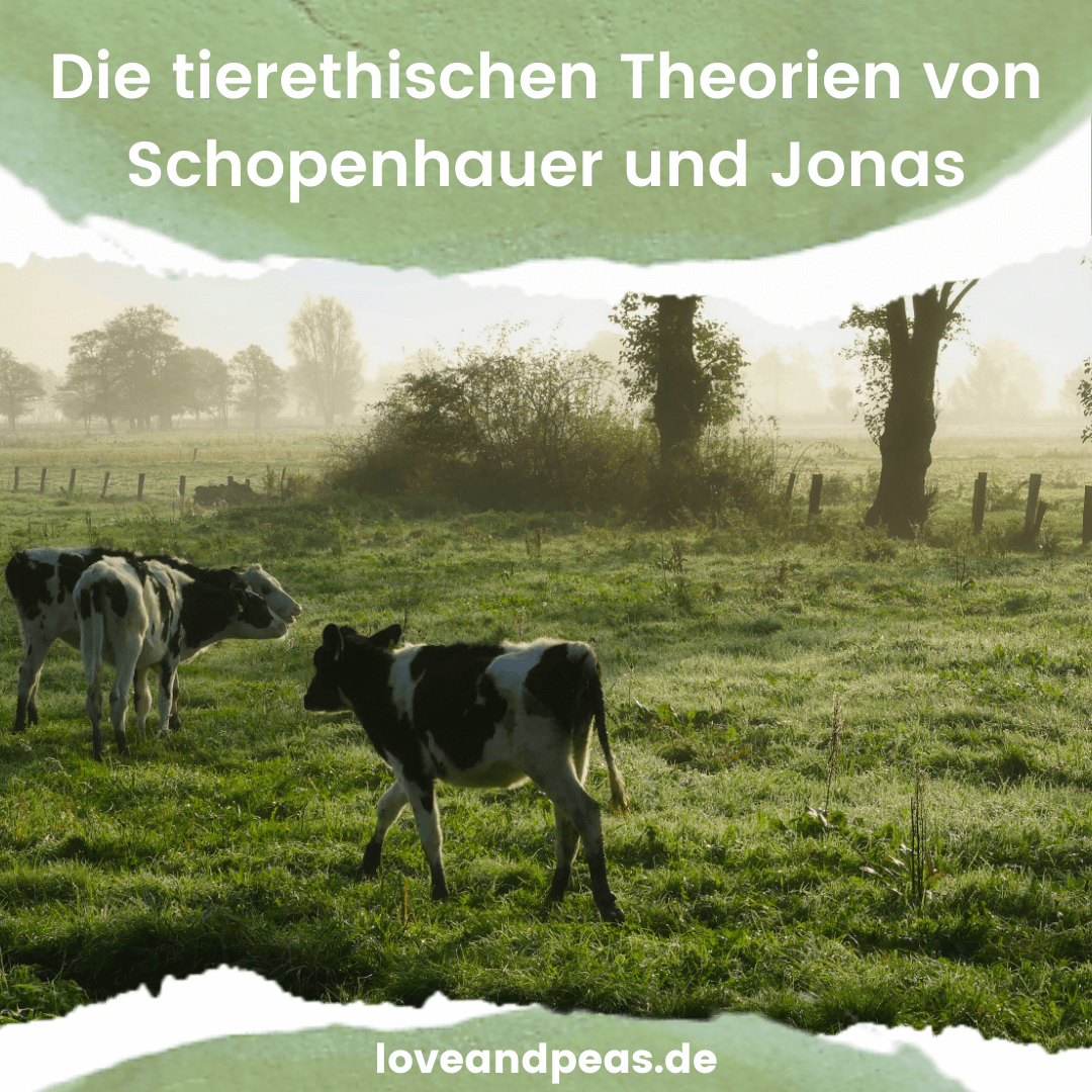 Read more about the article Die tierethischen Theorien von Arthur Schopenhauer und Hans Jonas
