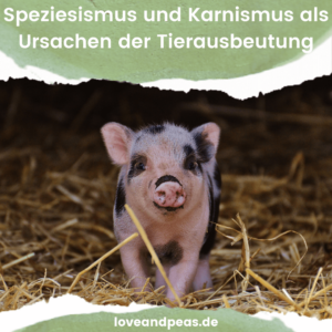 Read more about the article Speziesismus und Karnismus als Ursachen der Tierausbeutung