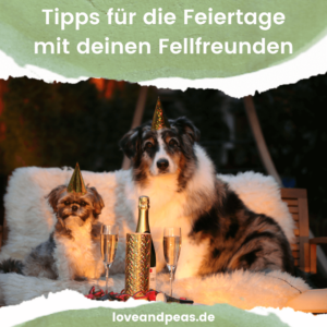 Read more about the article Weihnachten und Silvester mit Hund und Katze – unsere Tipps für gelungene Feiertage mit deinem Fellfreund
